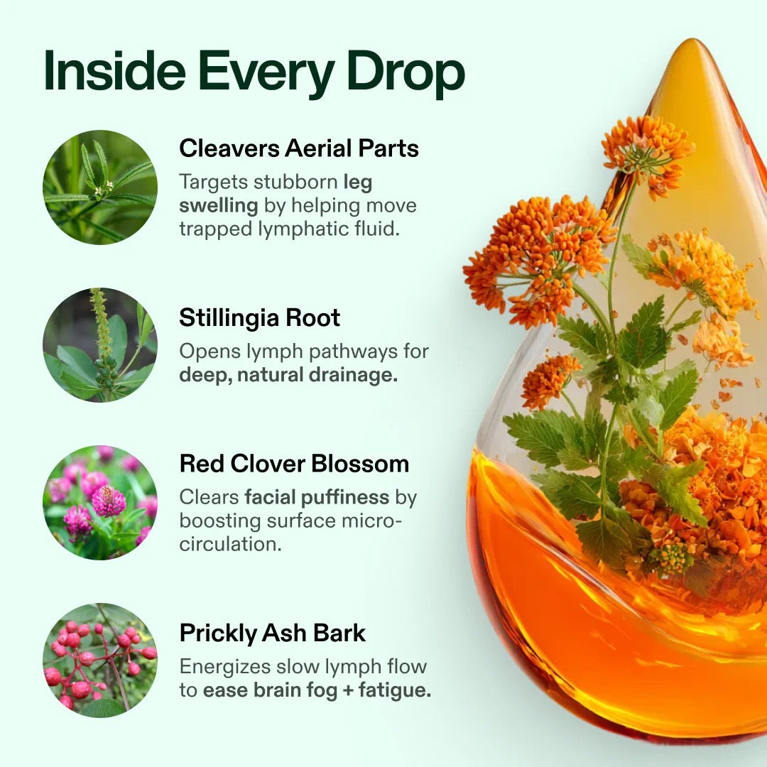 TRUE NUTRA LYMPHORIA  ®