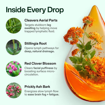 TRUE NUTRA LYMPHORIA  ®